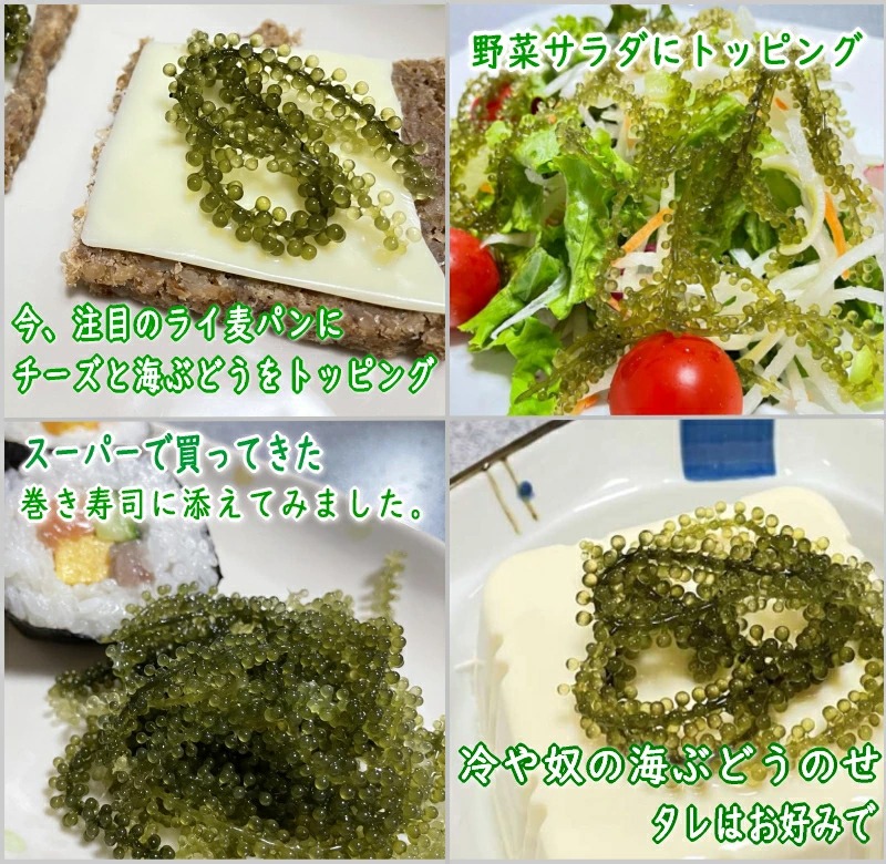 ꌧY ӂ̊CԂǂiϔȂj