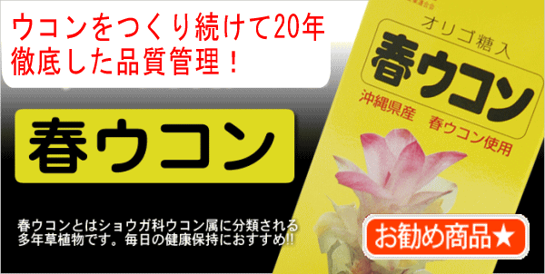 ウコン（うこん） | 沖縄健康通販
