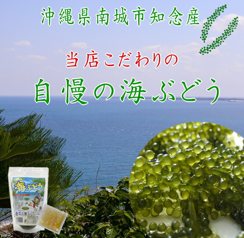 沖縄県産 感謝の海ぶどう（化粧箱なし）