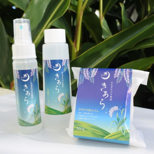 �����������牻�ϐ� �X�v���[50ml+�l�ւ��p100ml+�����Ό�