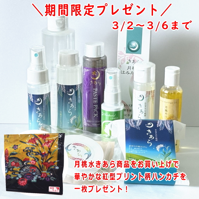 ��X�����̌�����