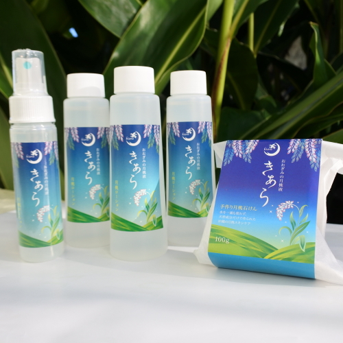 �����������牻�ϐ� �X�v���[50ml+�l�ւ��p100ml(3�{)+�����Ό�