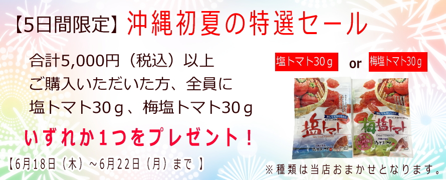 初夏セール