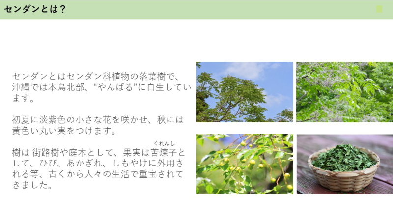 �Z���_�����i�A���t�@�j